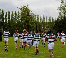 乐鱼（中国）体育官方网站-公牛队迎来历史性胜利，士气爆棚，公牛 队